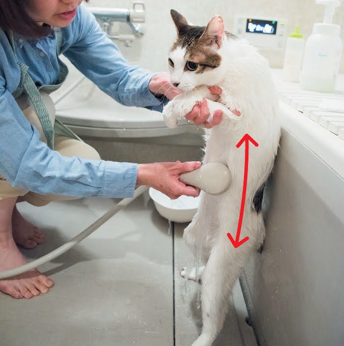 前足を持ち上げておなかにお湯をかけます。