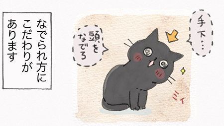 『ねこ連れ草』サムネイル
