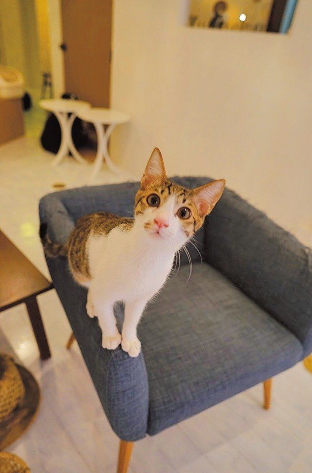 撮影／中川文作