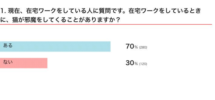 ねこのきもちWEB MAGAZINE　猫飼いさんの在宅ワークに関するアンケートvol.01