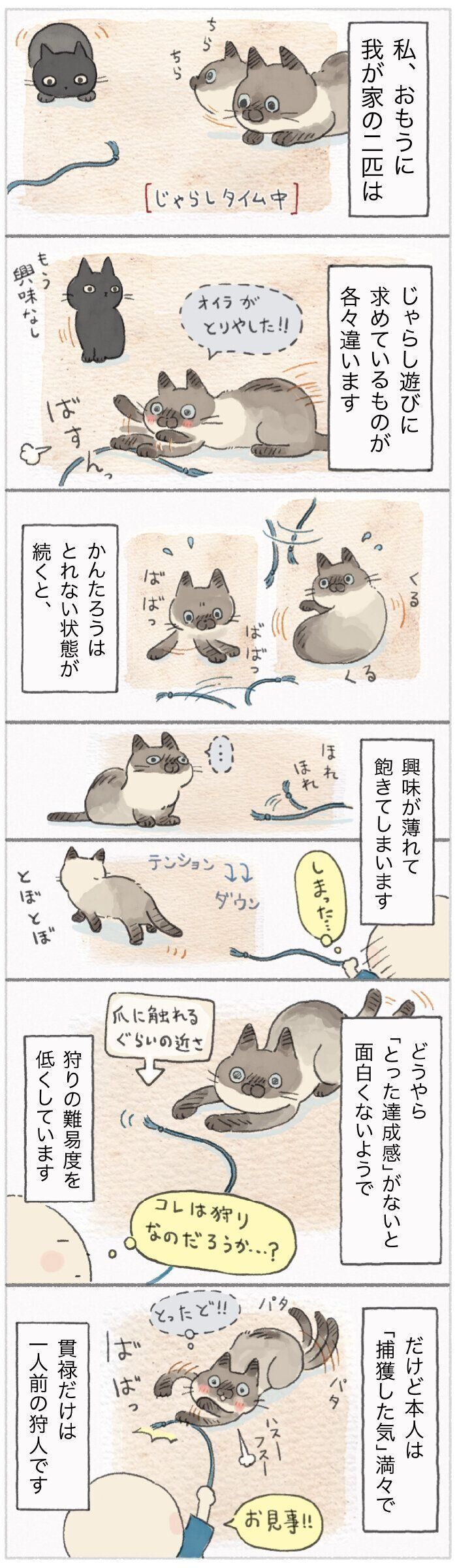 「ねこ連れ草」134話め