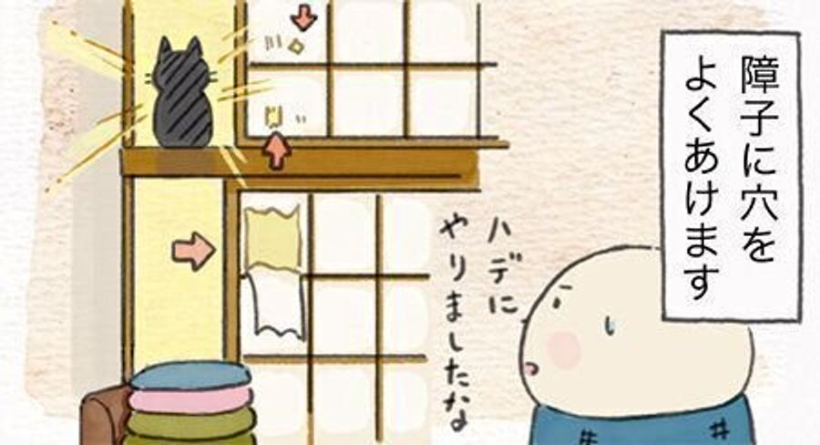 穴の中からこんにちは 猫に破られた障子と微笑ましい修繕跡 連載 ねこ連れ草 168話め ねこのきもちweb Magazine 穴の中からこんにちは 猫に破られた障子と微笑ましい修繕跡 連載 ねこ連れ草 168話め ねこのきもちweb Magazine