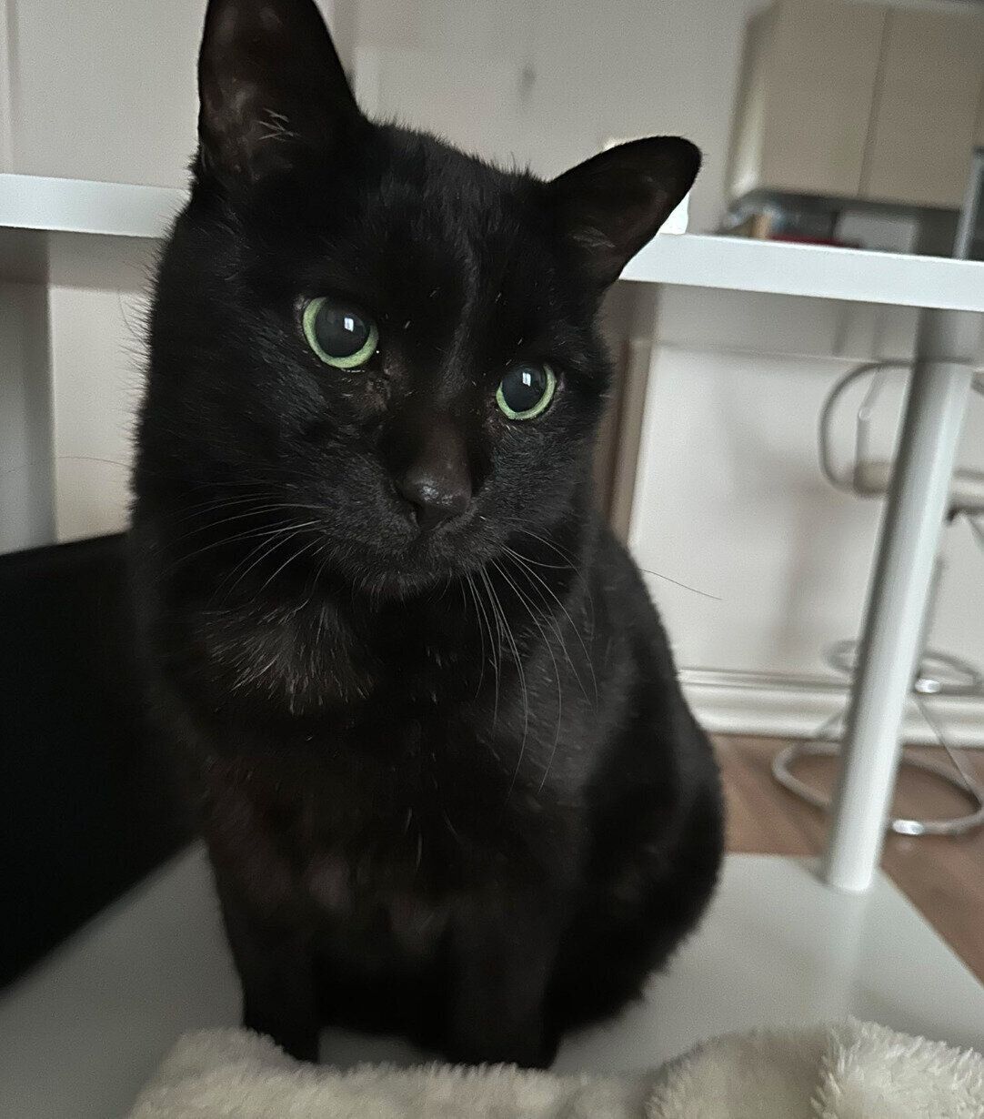 意外と“ツンデレ”なところがあるクロくん