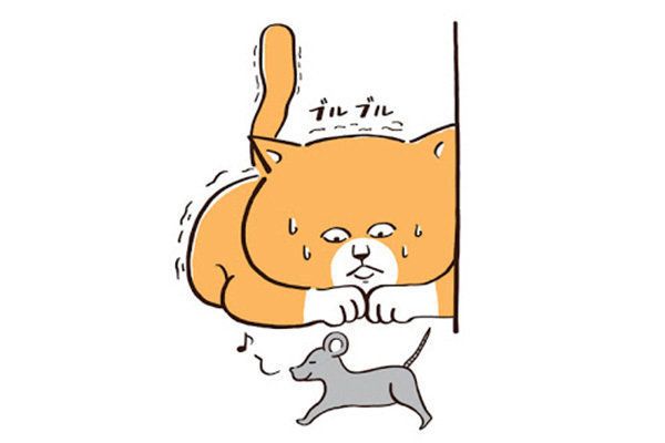 狩りがでいない生粋の猫