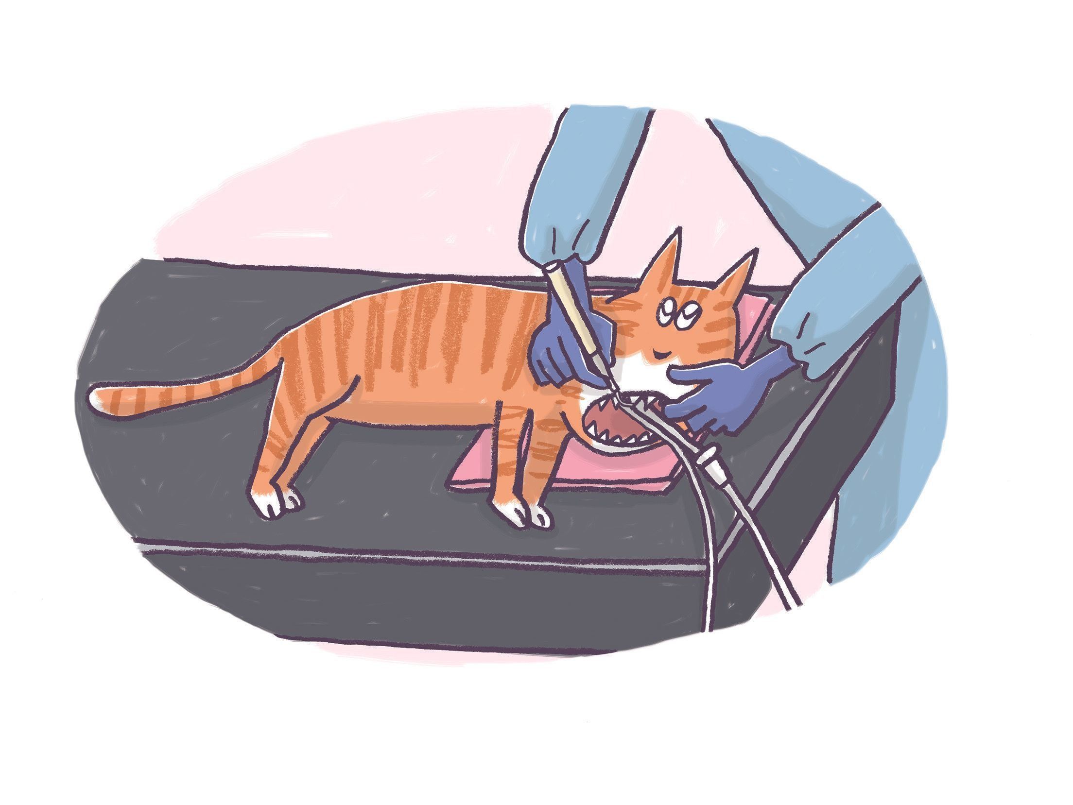 イラスト／上垣厚子