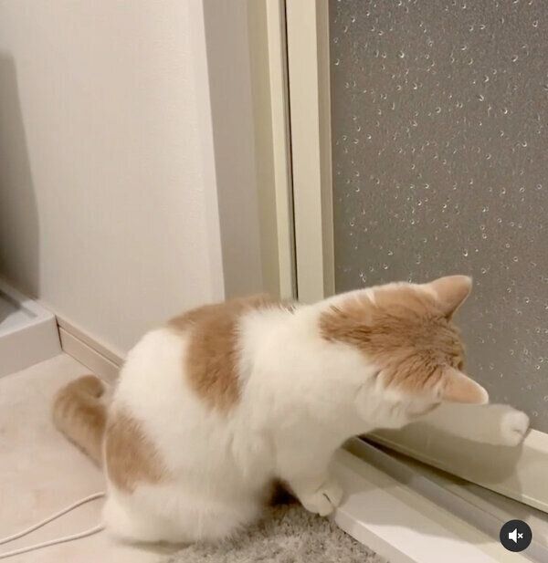 水滴が気になるマロくん