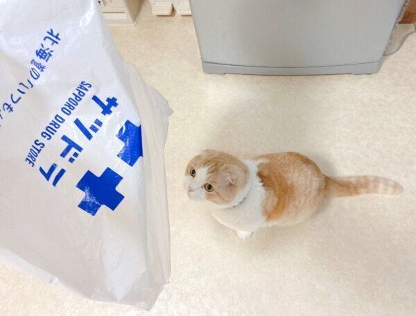 袋を見つめるうなぎちゃん