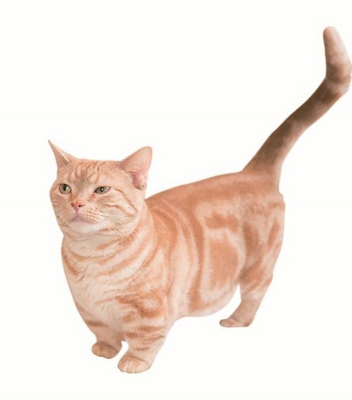 撮影／中川文作