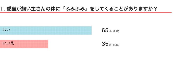 愛猫が飼い主さんの体に「ふみふみ」をしてくることがある？