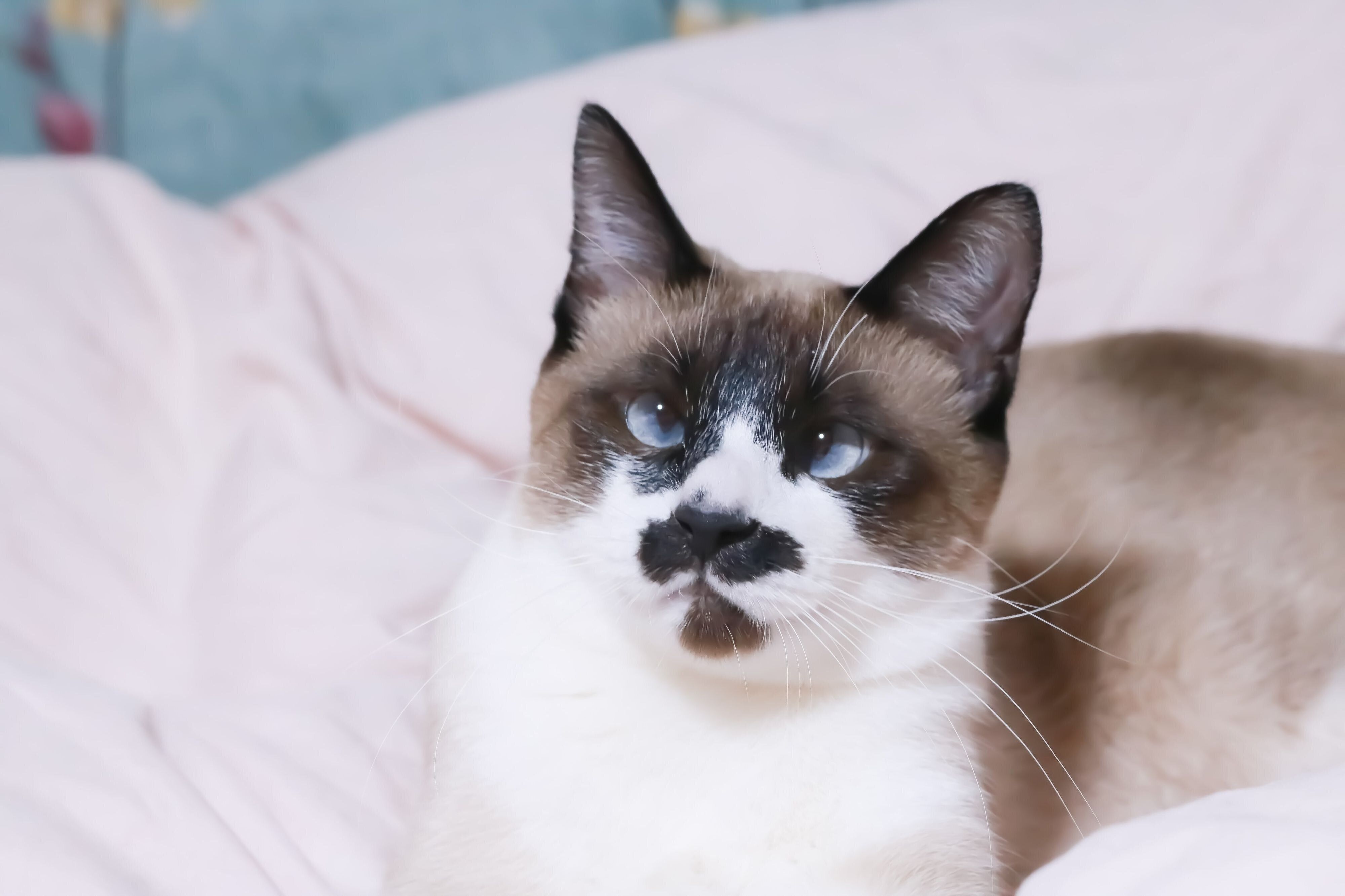 推定1才半になったちーちゃん