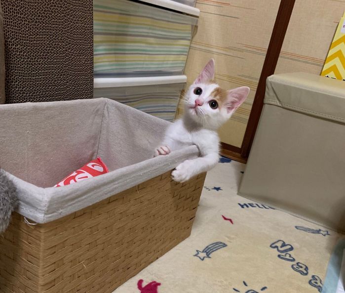 すっかりやんちゃに!? キラキラな瞳が印象的な1枚