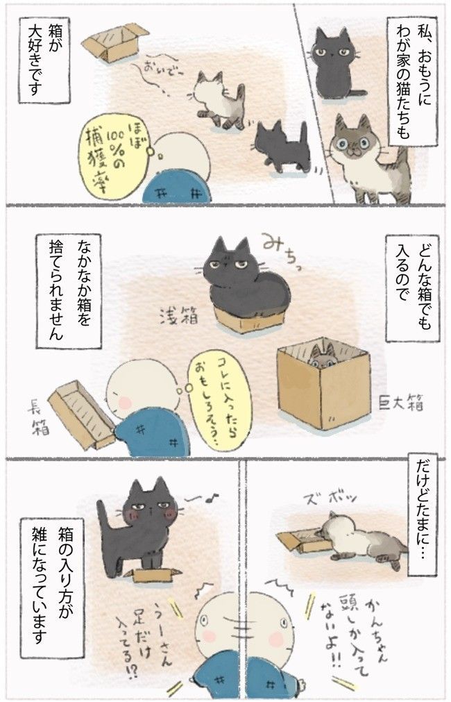 「ねこ連れ草」11話め