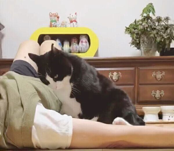 お父さんに甘えるキキ様