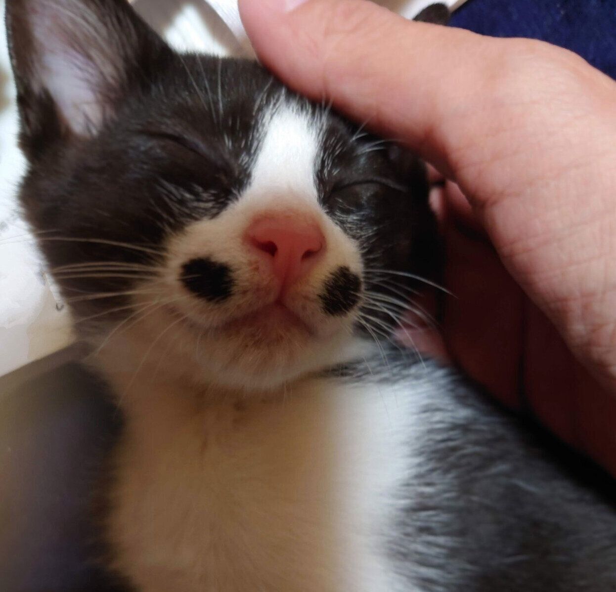 生後3〜4カ月のころに撮影した絆那ちゃん