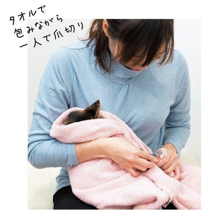 撮影／中川文作