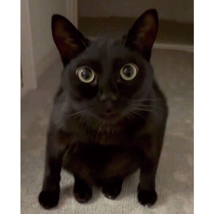 座り方のクセがスゴいうにくん