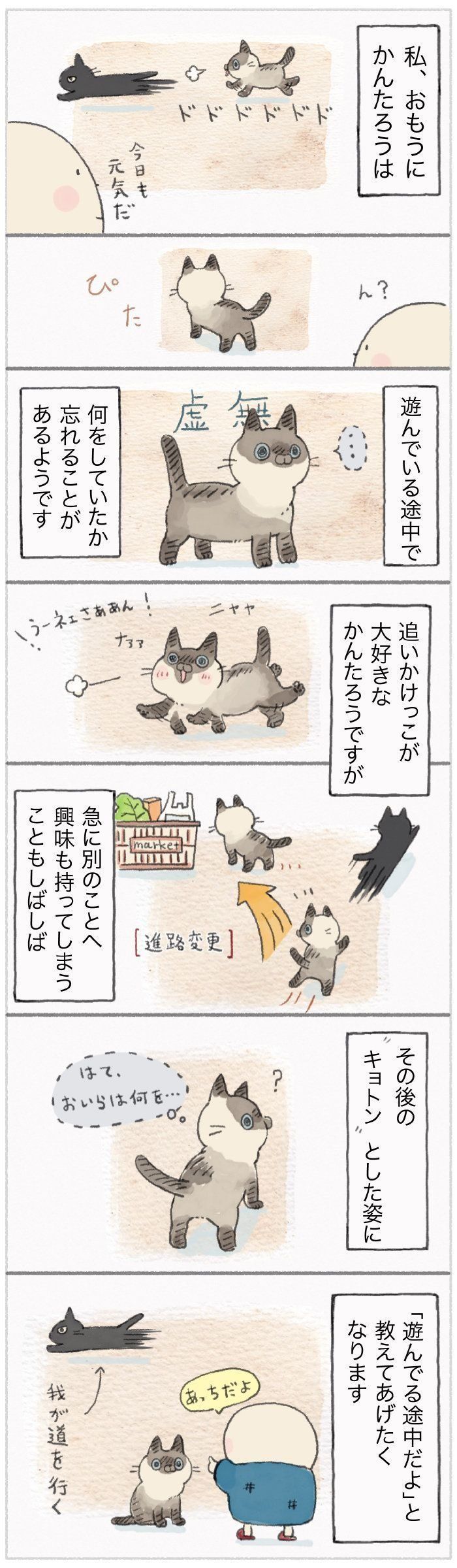 「ねこ連れ草」73話め