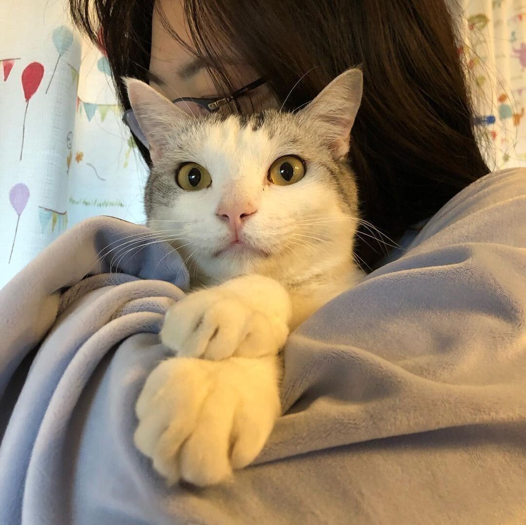 休日の猫吸いタイム