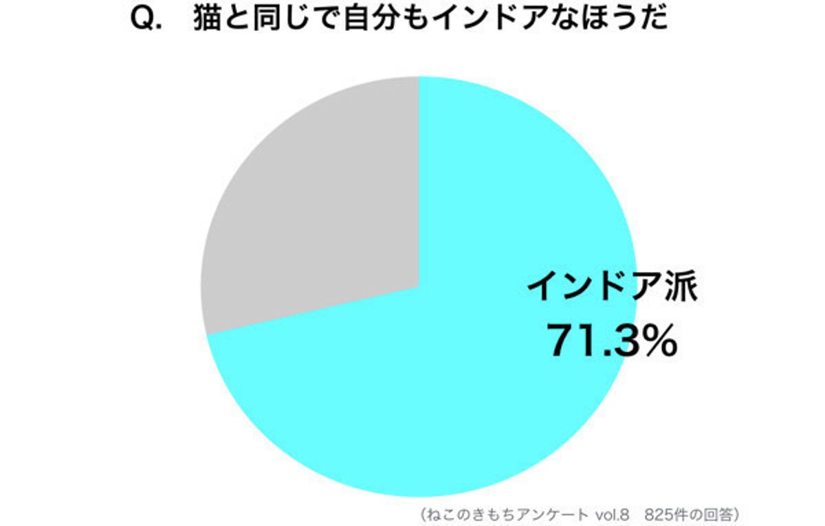 ここまで多いのか 猫の飼い主さんの インドア派 率 ねこのきもちweb Magazine
