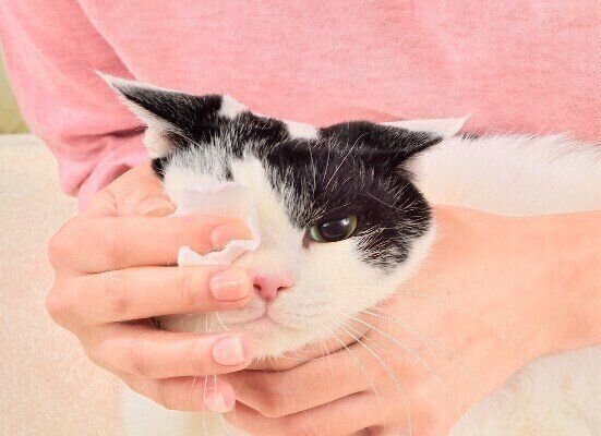 撮影／佐藤正之