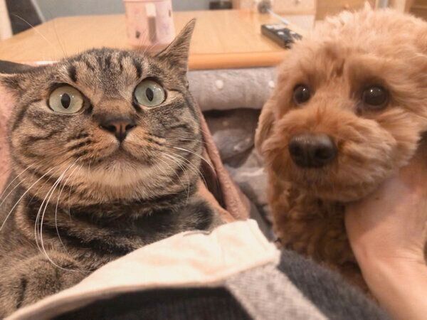 仲良しなアテチちゃんとリクさん