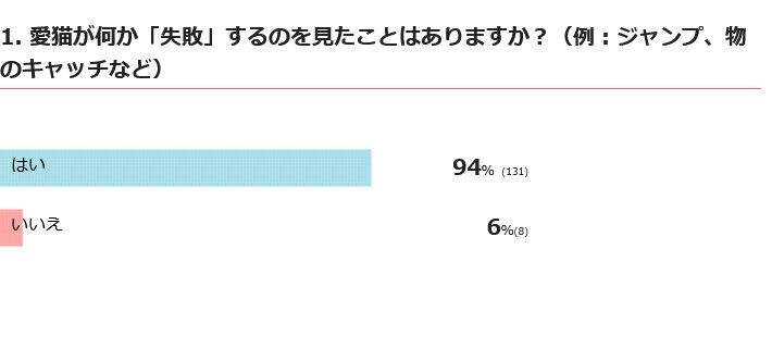 愛猫が失敗するのを見たことはある？
