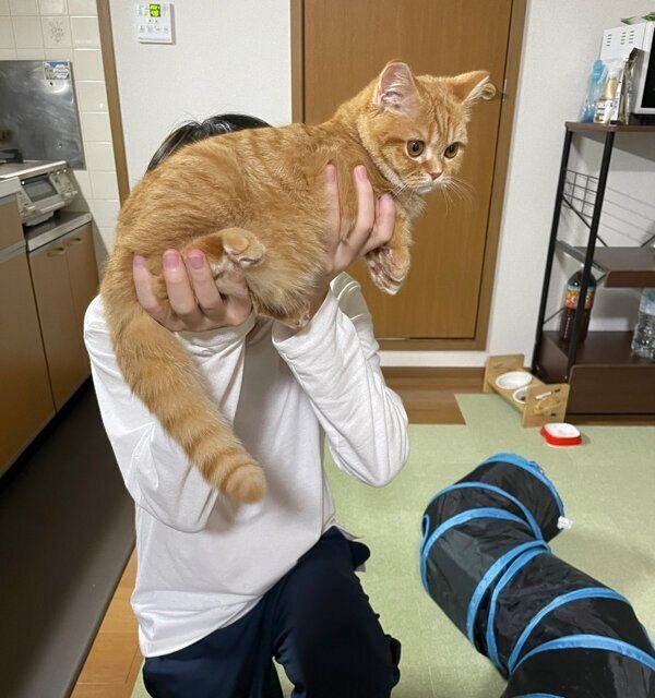 抱っこされるえだまめくん