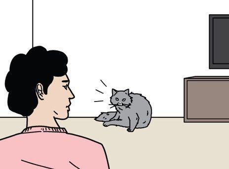 『男の猫道』サムネイル