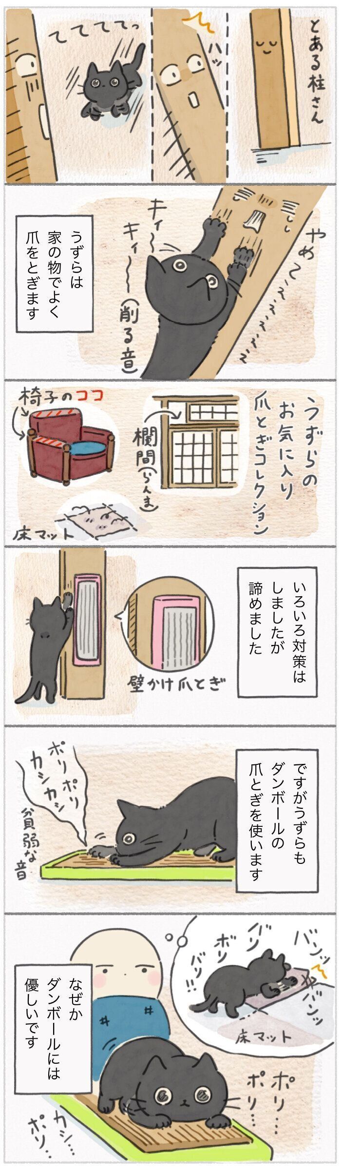 「ねこ連れ草」303話め