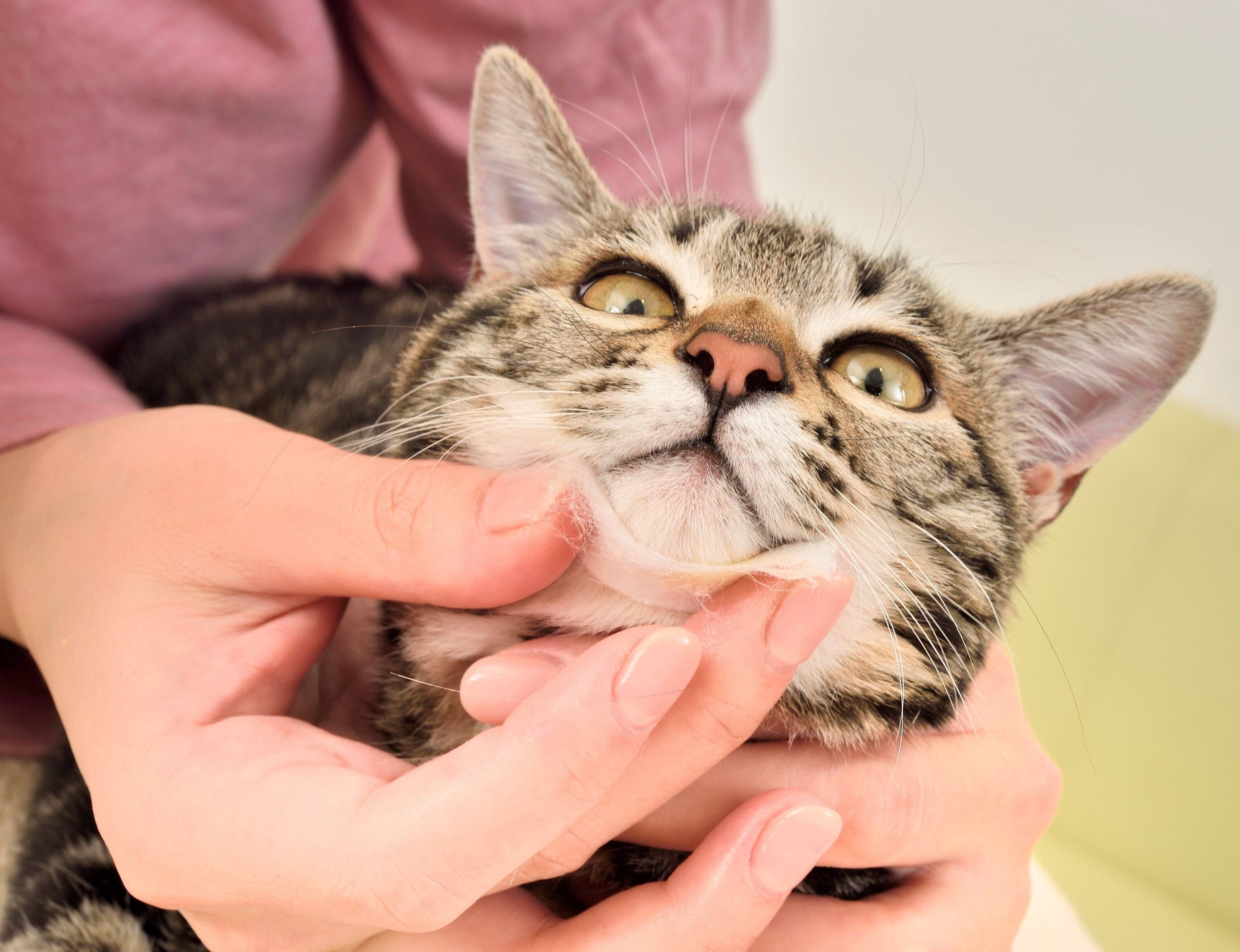 撮影／佐藤正之