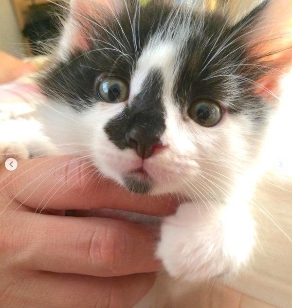 抱かれるそらくん