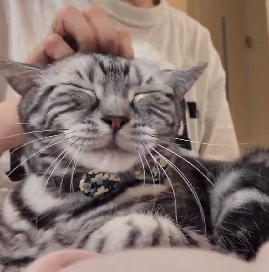 うっとりした表情をするりんくん