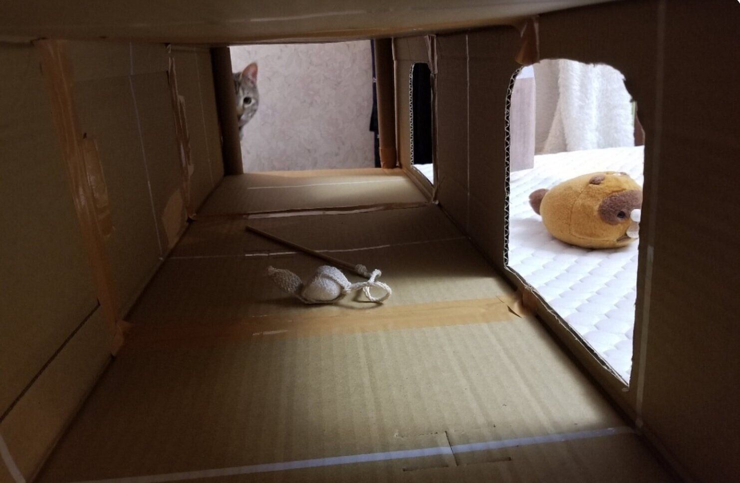 様子をうかがうリボンちゃん