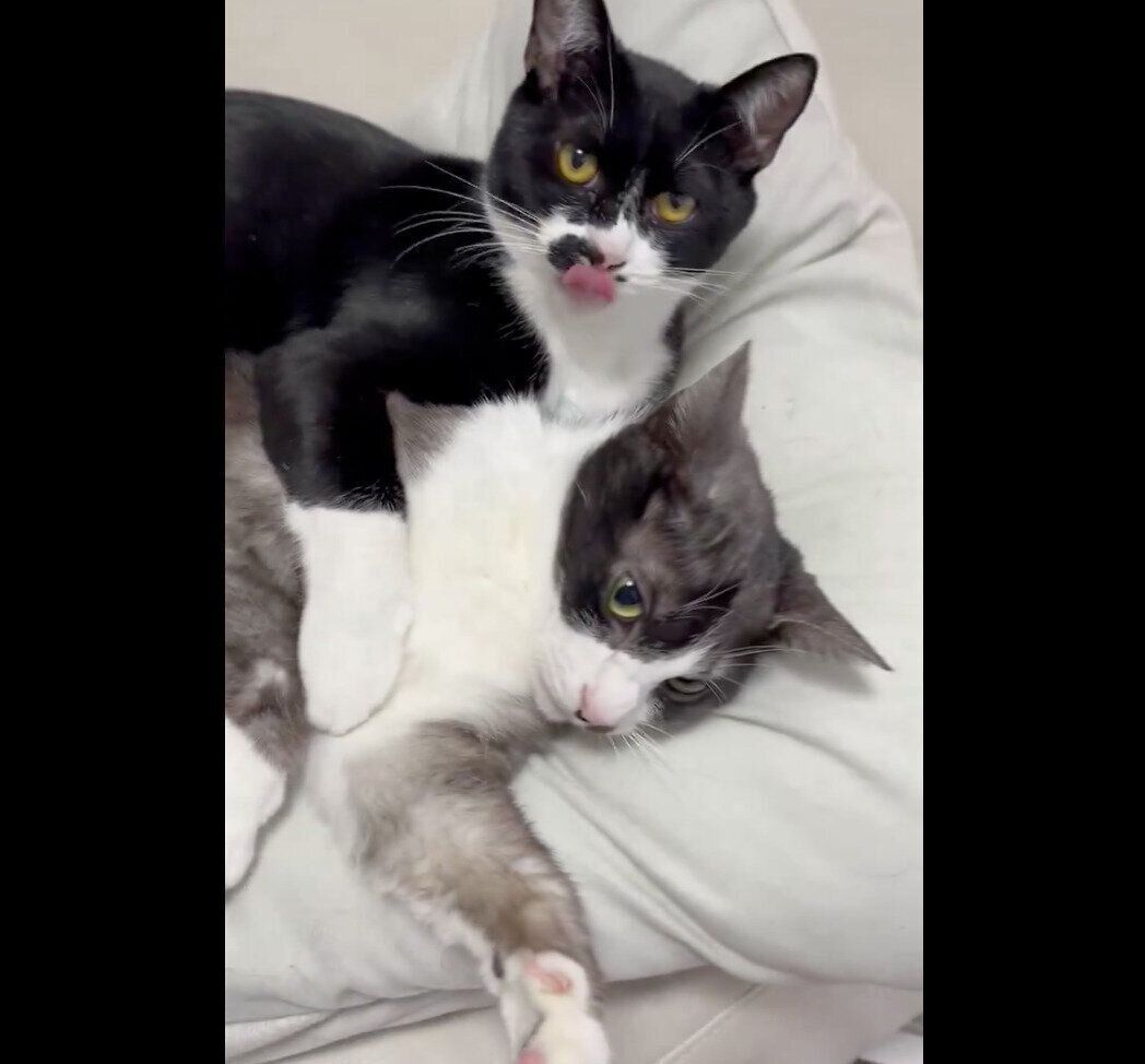 もやしくんにちょっかいを出すゆばくん