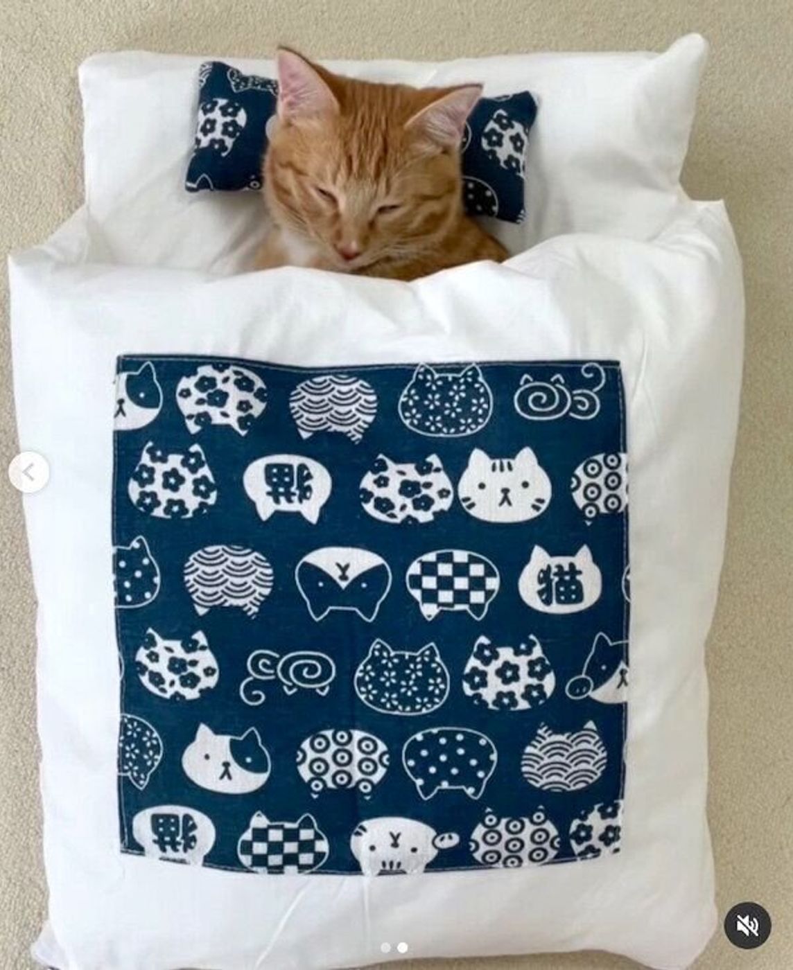 布団の中で気持ちよさそうにスヤスヤ お昼寝する子猫の 寝入る瞬間 が可愛すぎた ねこのきもちweb Magazine 布団の中で気持ちよさそうにスヤスヤ お昼寝する子猫の 寝入る瞬間 が可愛すぎた ねこのきもちweb Magazine