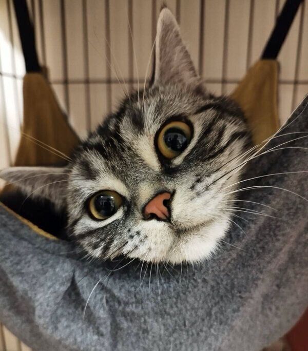 くつろぐユキチくん