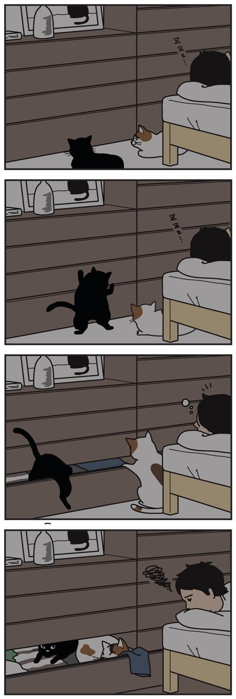 男の猫道 vol54