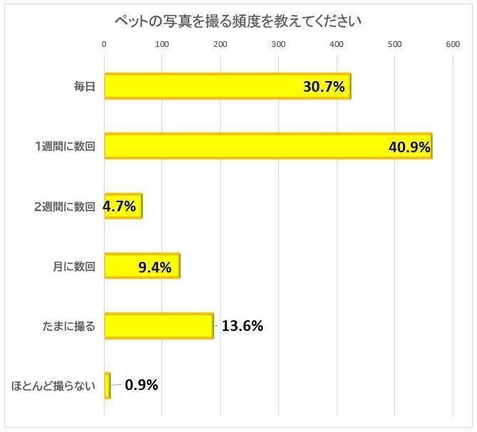 ペットの写真を撮る頻度を教えてください														