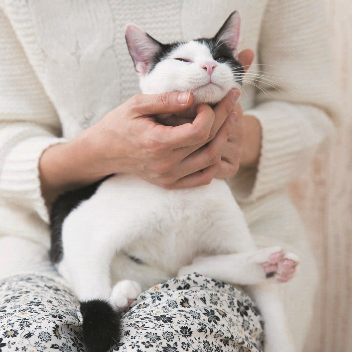 画像／2018年2月号「マンネリ解消しよう！」