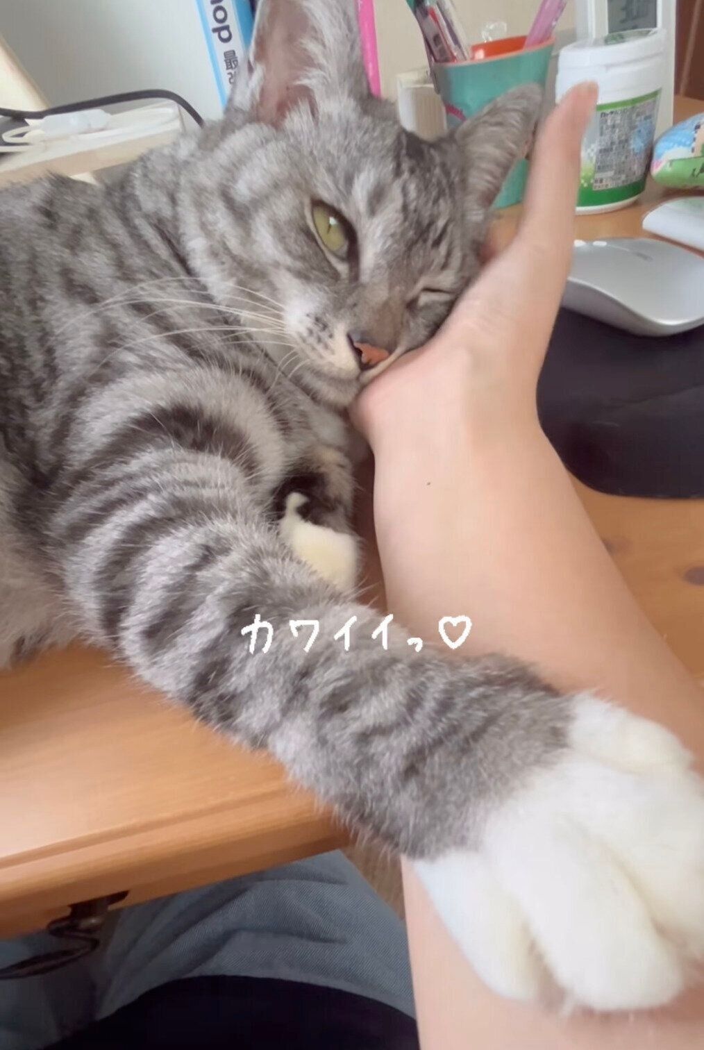 甘える影丸くん