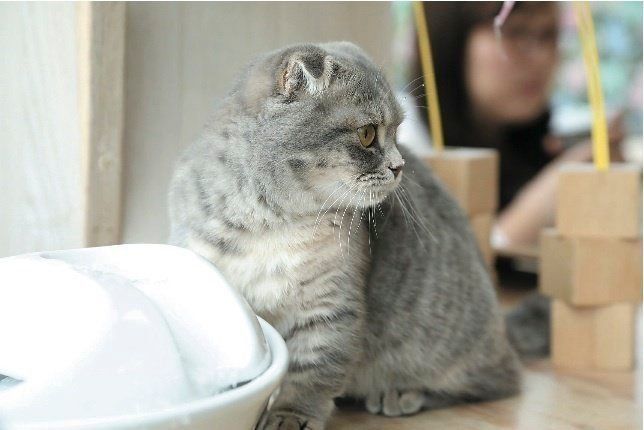 撮影／尾﨑たまき