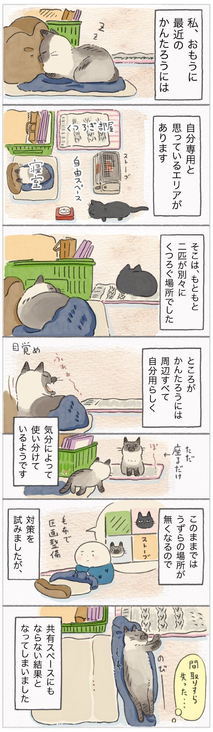 「ねこ連れ草」167話め