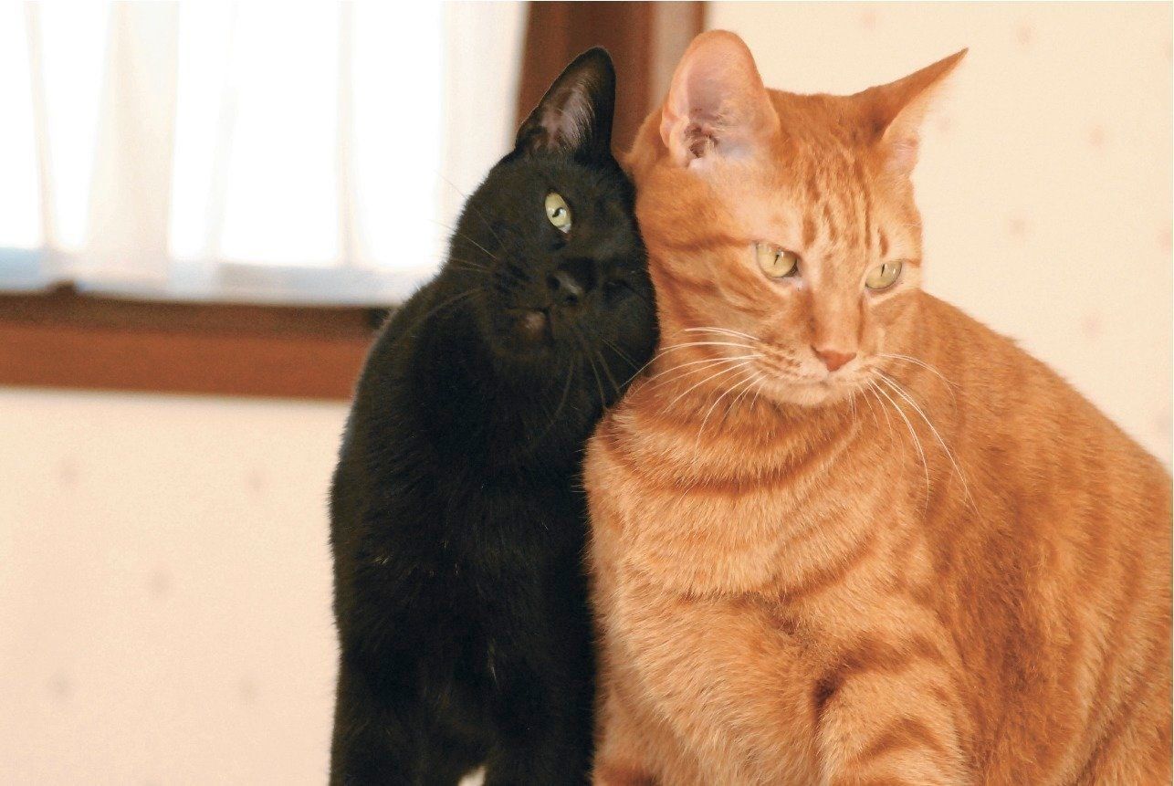 撮影／栗林　愛