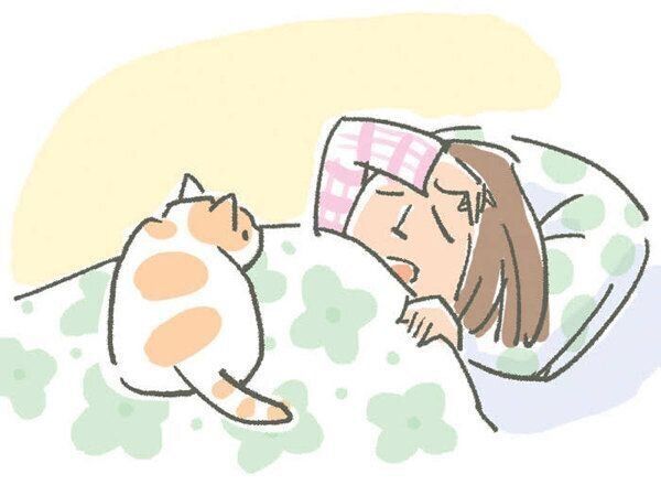 猫から間接的にうつりやすい病気