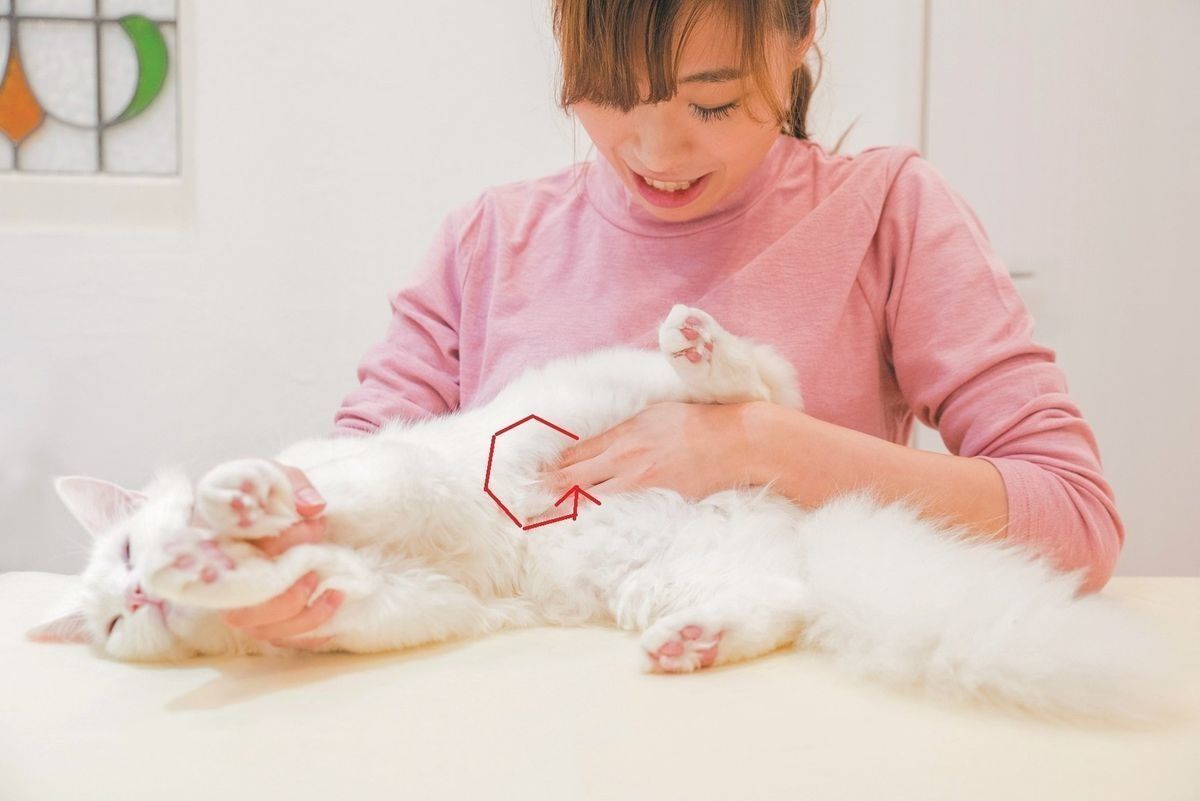 撮影／中川文作