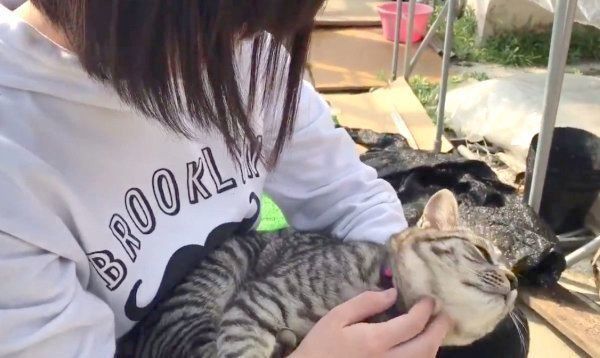 抱っこされるコタローくん