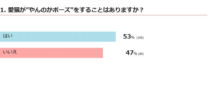 愛猫がやんのかポーズをすることはある？
