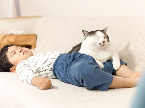 いつも一緒にいる男の子と猫