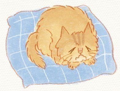 イラスト／浅羽ピピ