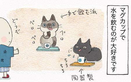 『ねこ連れ草』30話め サムネイル